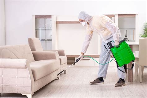 Pest control for home. Things To Know About Pest control for home. 